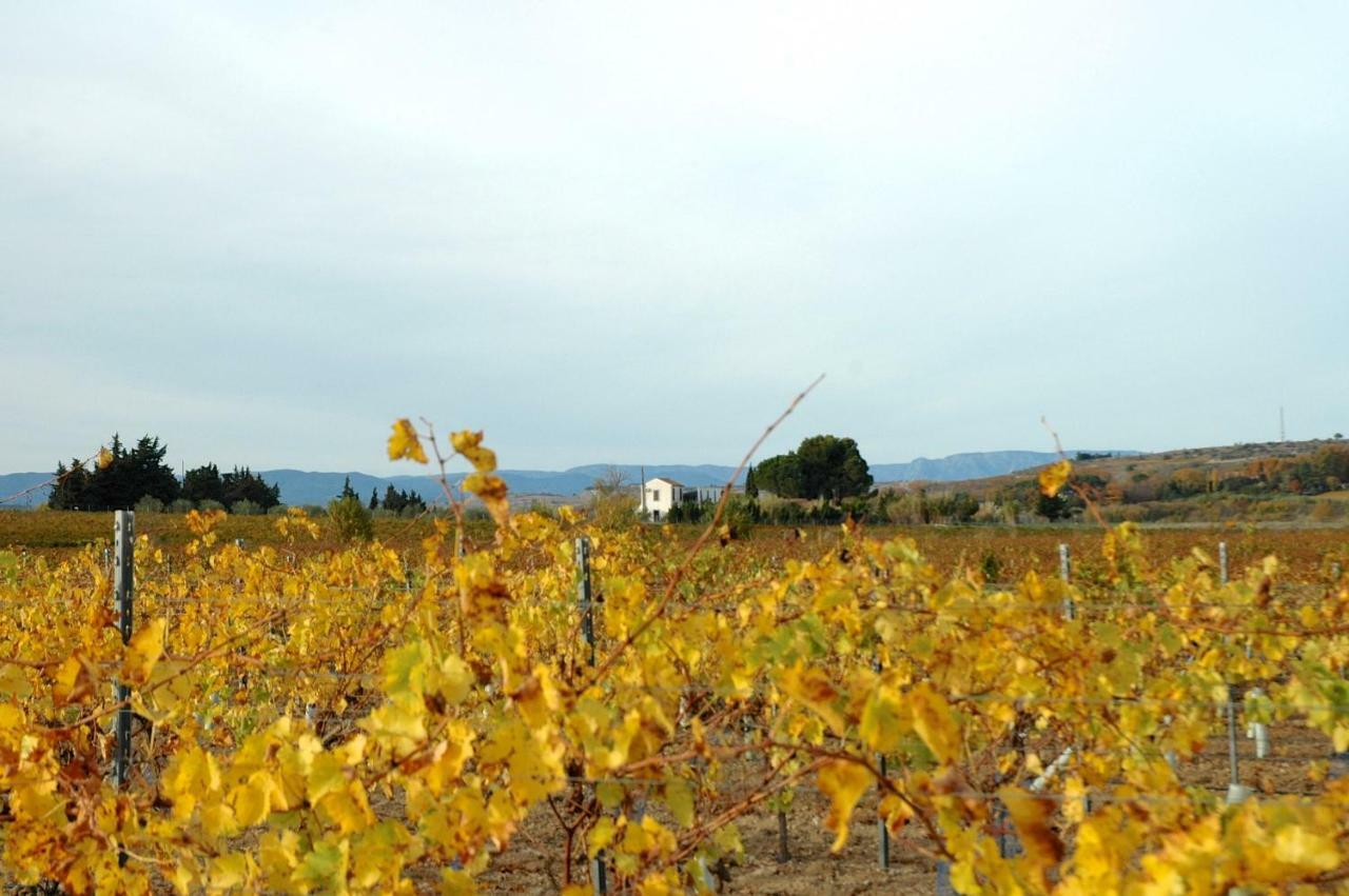Le Petit Viala Villa Capestang Exterior foto